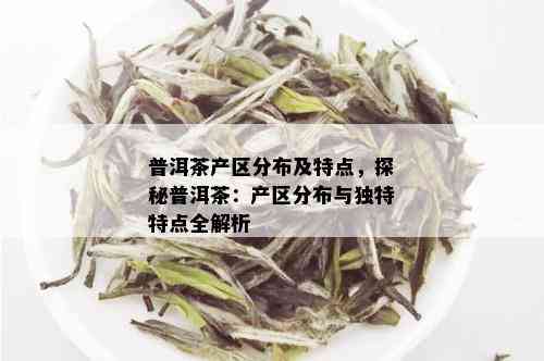 普洱茶产区分布及特点，探秘普洱茶：产区分布与独特特点全解析