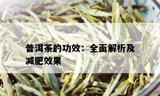 普洱茶的功效：全面解析及减肥效果