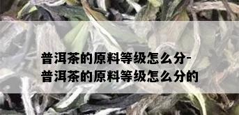 普洱茶的原料等级怎么分-普洱茶的原料等级怎么分的