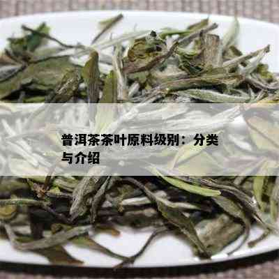 普洱茶茶叶原料级别：分类与介绍