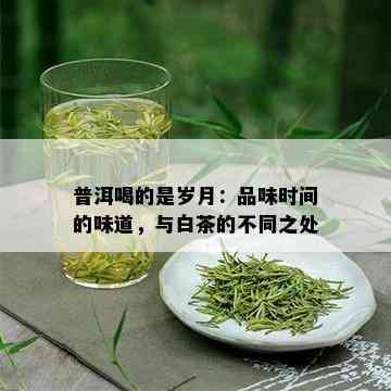 普洱喝的是岁月：品味时间的味道，与白茶的不同之处