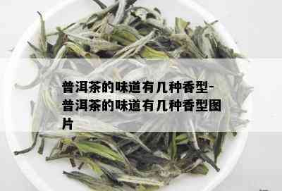 普洱茶的味道有几种香型-普洱茶的味道有几种香型图片