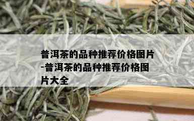 普洱茶的品种推荐价格图片-普洱茶的品种推荐价格图片大全