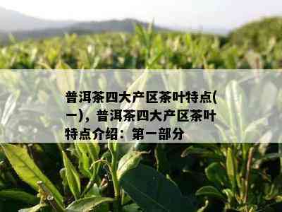 普洱茶四大产区茶叶特点(一)，普洱茶四大产区茶叶特点介绍：之一部分