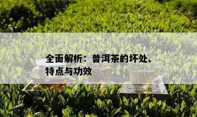 全面解析：普洱茶的坏处、特点与功效