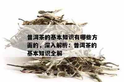 普洱茶的基本知识有哪些方面的，深入解析：普洱茶的基本知识全解