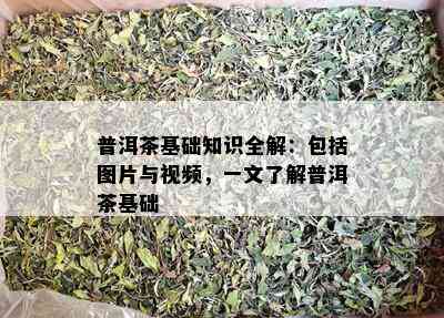 普洱茶基础知识全解：包括图片与视频，一文了解普洱茶基础