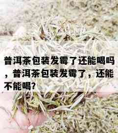 普洱茶包装发霉了还能喝吗，普洱茶包装发霉了，还能不能喝？