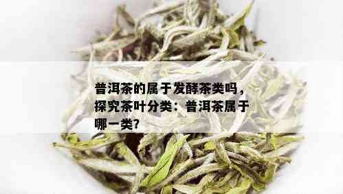 普洱茶的属于发酵茶类吗，探究茶叶分类：普洱茶属于哪一类？