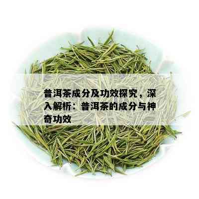 普洱茶成分及功效探究，深入解析：普洱茶的成分与神奇功效