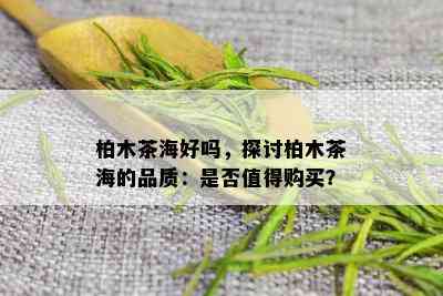 柏木茶海好吗，探讨柏木茶海的品质：是否值得购买？