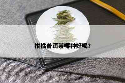 柑橘普洱茶哪种好喝？