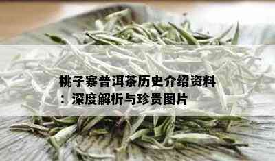 桃子寨普洱茶历史介绍资料：深度解析与珍贵图片