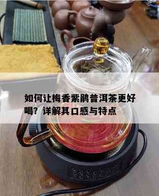 如何让梅香紫鹃普洱茶更好喝？详解其口感与特点