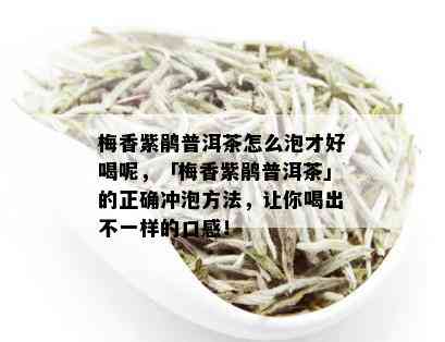 梅香紫鹃普洱茶怎么泡才好喝呢，「梅香紫鹃普洱茶」的正确冲泡方法，让你喝出不一样的口感！