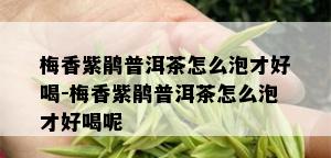 梅香紫鹃普洱茶怎么泡才好喝-梅香紫鹃普洱茶怎么泡才好喝呢