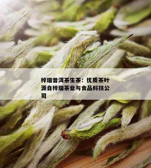 梓瑞普洱茶生茶：优质茶叶源自梓瑞茶业与食品科技公司