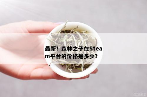 最新！森林之子在Steam平台的价格是多少？