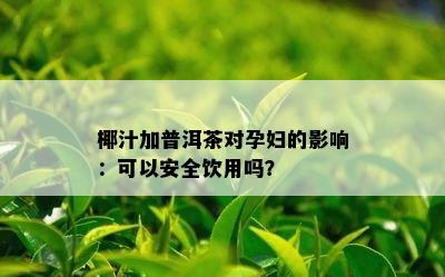 椰汁加普洱茶对孕妇的影响：可以安全饮用吗？