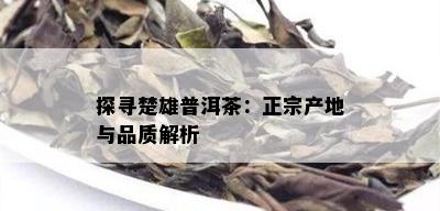 探寻楚雄普洱茶：正宗产地与品质解析