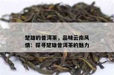 楚雄的普洱茶，品味云南风情：探寻楚雄普洱茶的魅力