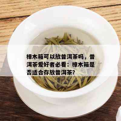 樟木箱可以放普洱茶吗，普洱茶爱好者必看：樟木箱是否适合存放普洱茶？