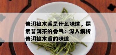 普洱樟木香是什么味道，探索普洱茶的香气：深入解析普洱樟木香的味道