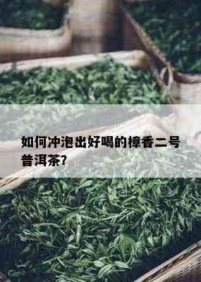 如何冲泡出好喝的樟香二号普洱茶？