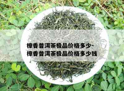 樟香普洱茶极品价格多少-樟香普洱茶极品价格多少钱