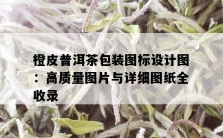 橙皮普洱茶包装图标设计图：高质量图片与详细图纸全收录