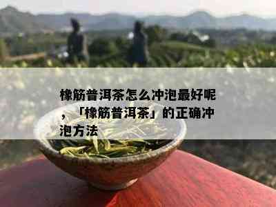 橡筋普洱茶怎么冲泡更好呢，「橡筋普洱茶」的正确冲泡方法