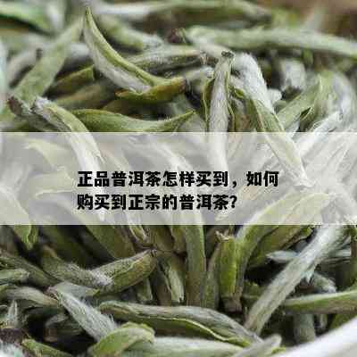 正品普洱茶怎样买到，如何购买到正宗的普洱茶？