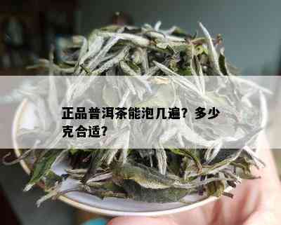 正品普洱茶能泡几遍？多少克合适？