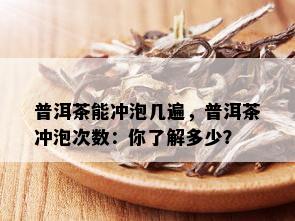 普洱茶能冲泡几遍，普洱茶冲泡次数：你了解多少？