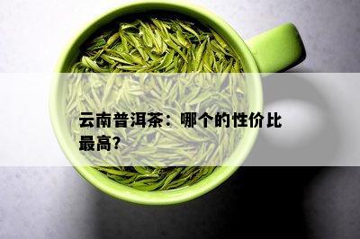 云南普洱茶：哪个的性价比更高？