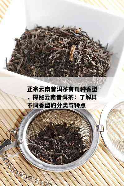 正宗云南普洱茶有几种香型，探秘云南普洱茶：了解其不同香型的分类与特点