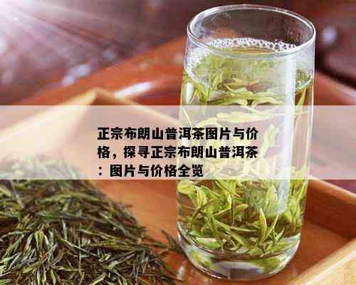 正宗布朗山普洱茶图片与价格，探寻正宗布朗山普洱茶：图片与价格全览