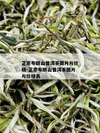 正宗布朗山普洱茶图片与价格-正宗布朗山普洱茶图片与价格表