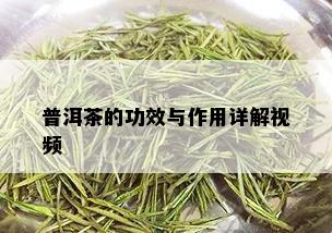 普洱茶的功效与作用详解视频