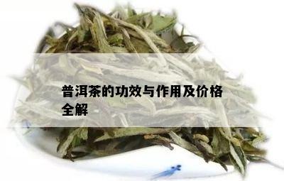 普洱茶的功效与作用及价格全解