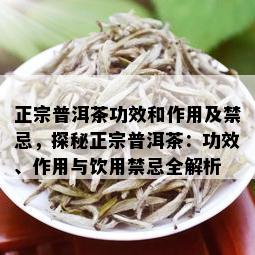 正宗普洱茶功效和作用及禁忌，探秘正宗普洱茶：功效、作用与饮用禁忌全解析