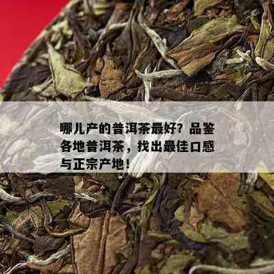 哪儿产的普洱茶更好？品鉴各地普洱茶，找出更佳口感与正宗产地！