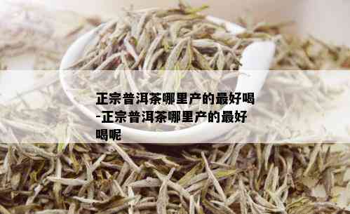 正宗普洱茶哪里产的更好喝-正宗普洱茶哪里产的更好喝呢