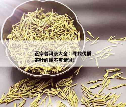 正宗普洱茶大全：寻找优质茶叶的你不可错过！