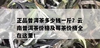 正品普洱茶多少钱一斤？云南普洱茶价格及莓茶价格全在这里！