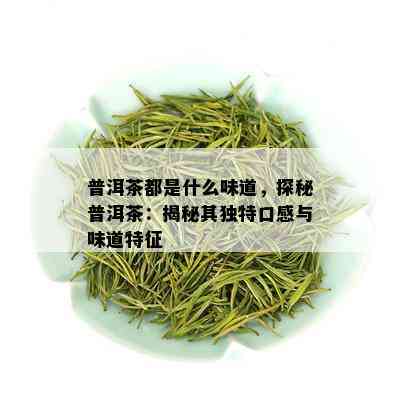 普洱茶都是什么味道，探秘普洱茶：揭秘其独特口感与味道特征