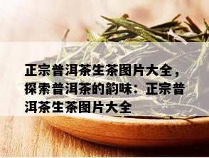 正宗普洱茶生茶图片大全，探索普洱茶的韵味：正宗普洱茶生茶图片大全