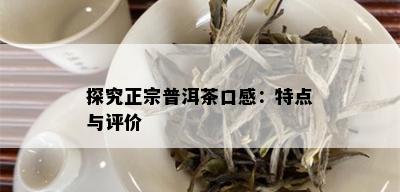 探究正宗普洱茶口感：特点与评价