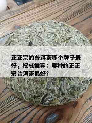 正正宗的普洱茶哪个牌子更好，权威推荐：哪种的正正宗普洱茶更好？