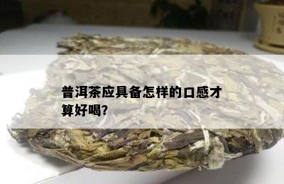 普洱茶应具备怎样的口感才算好喝？